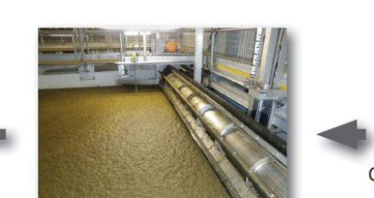 Dissolved air flotation filtration (DAFF) tank with floated sludge on the surface
