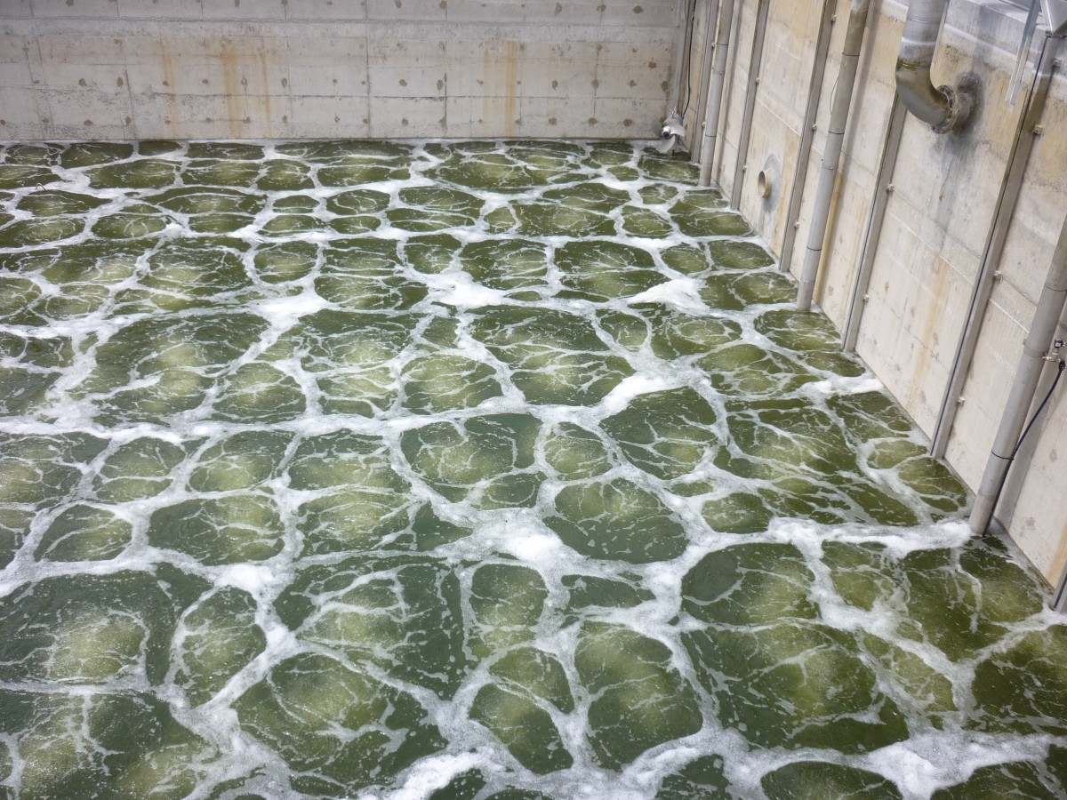 Aquablade fine bubble diffusers aerating a concrete tank at South West Rocks